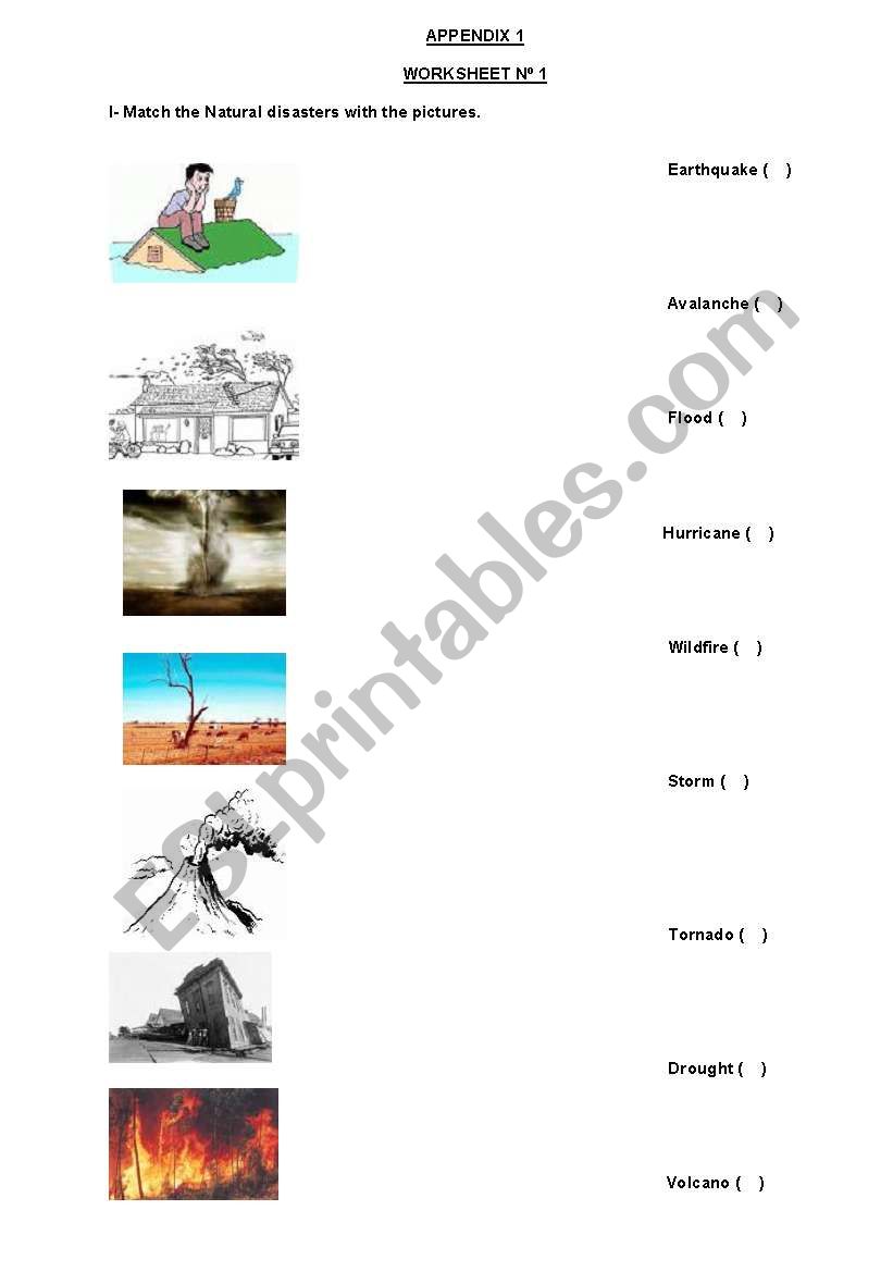 The Natural Disaster worksheet