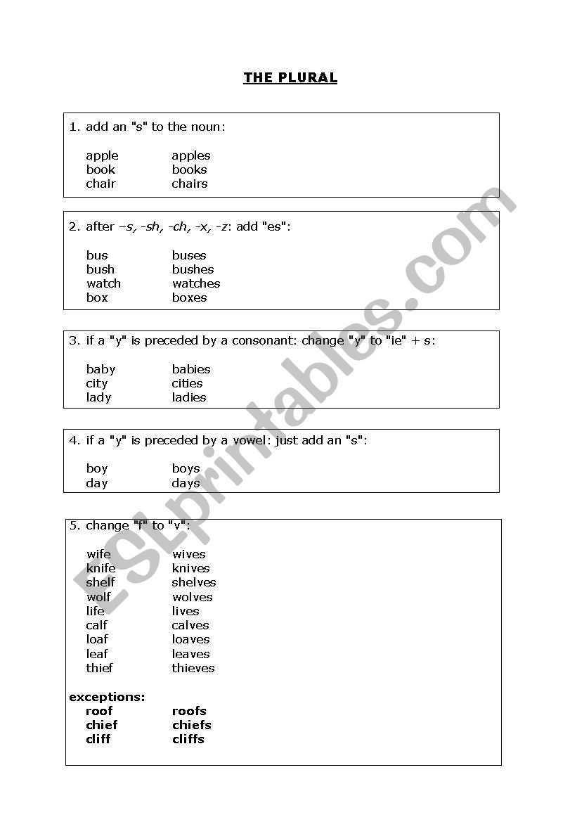 THE PLURAL worksheet