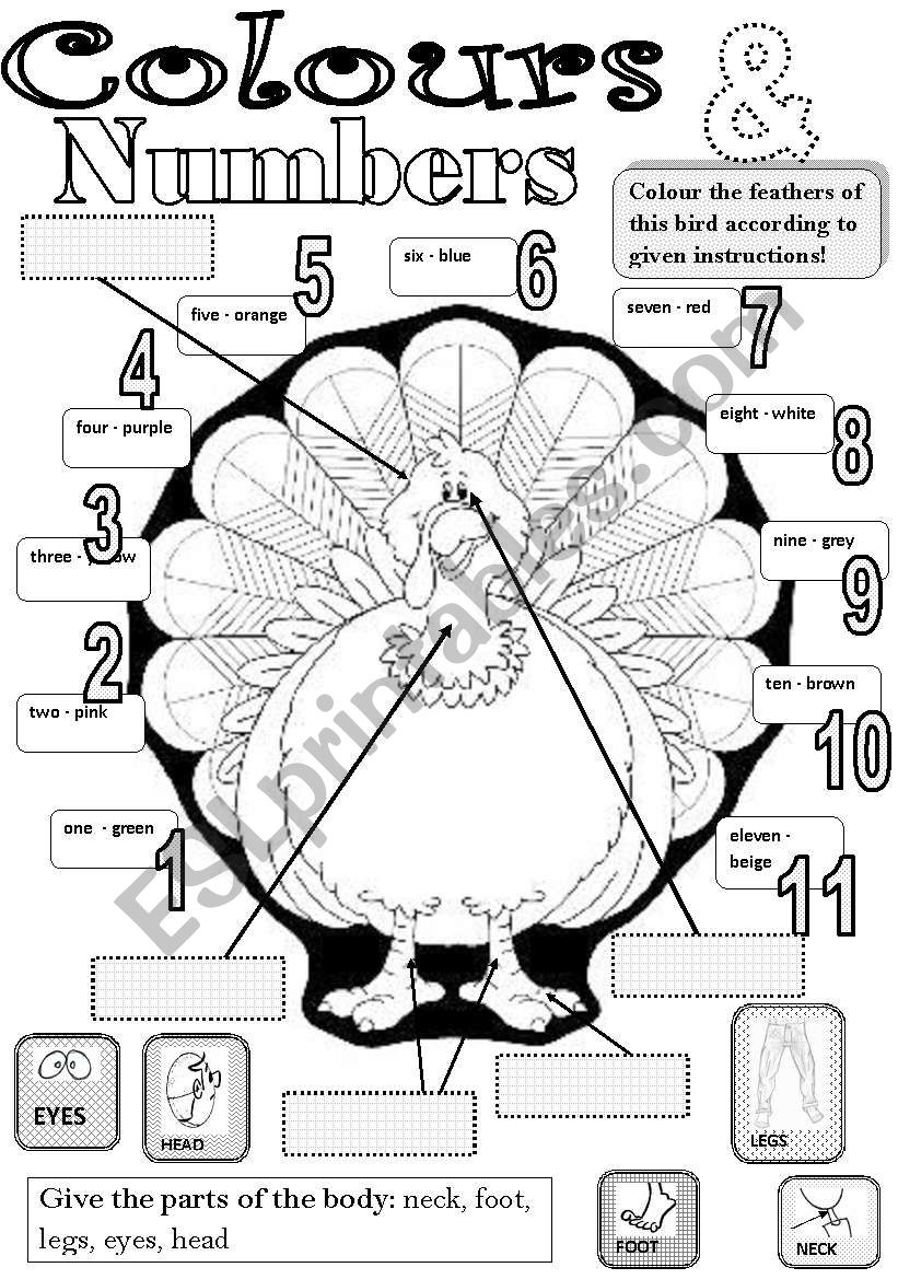 colours & numbers & body parts