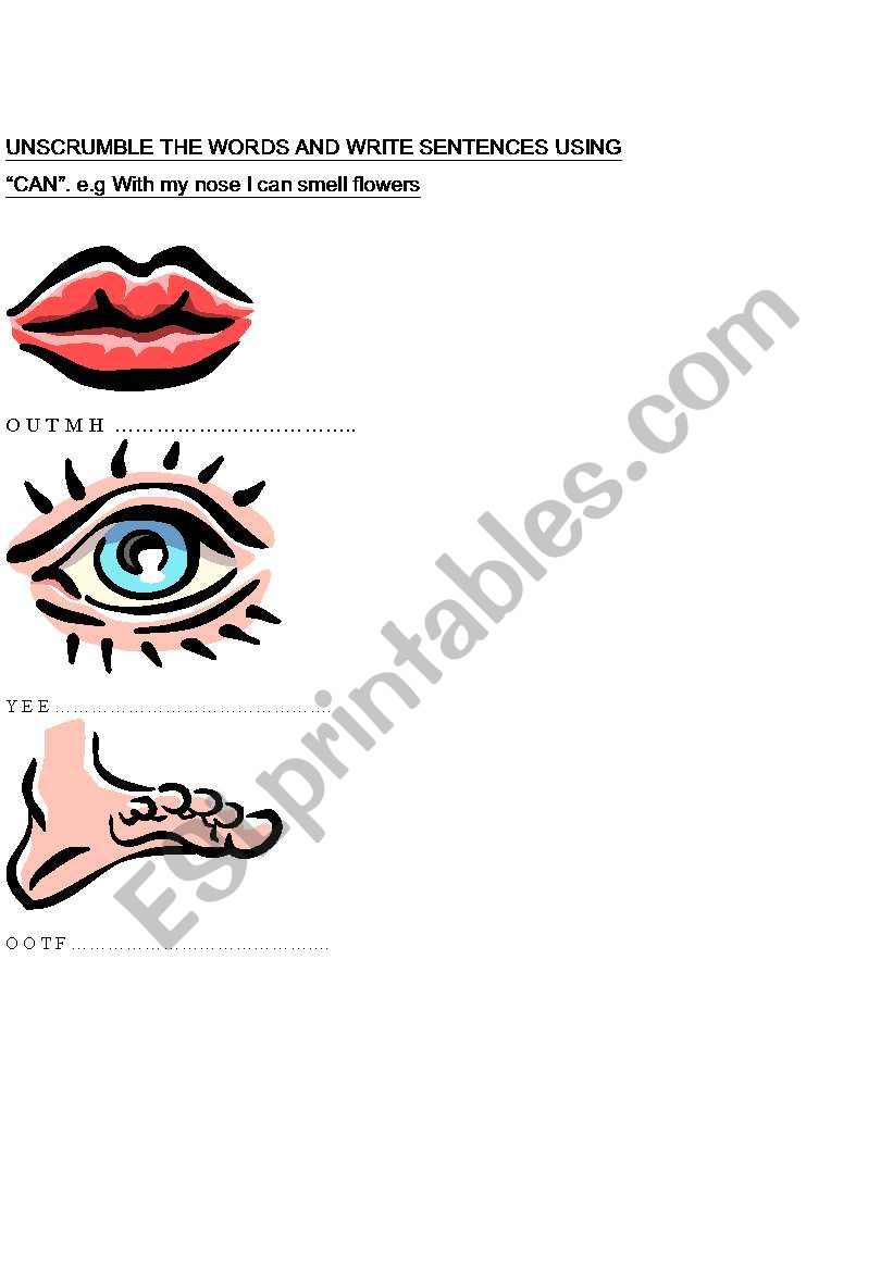 unscramble the words worksheet