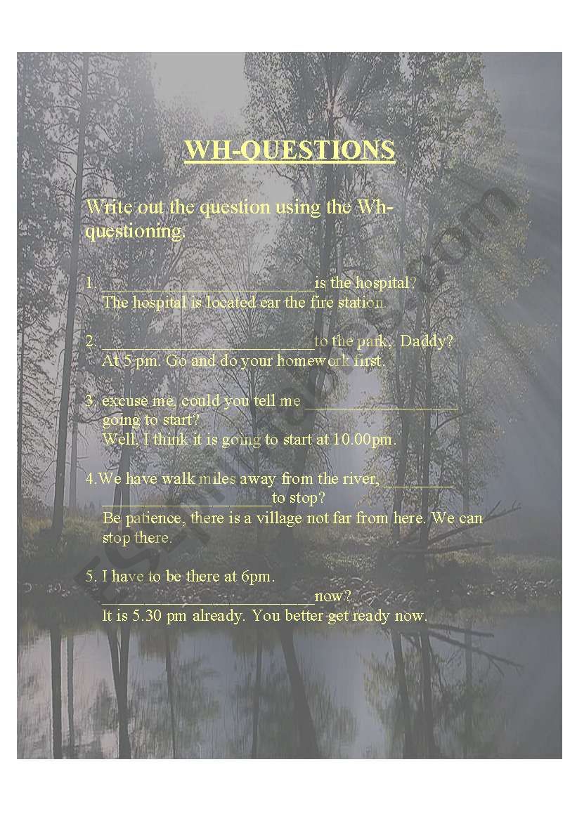 The Wh-Qurstions worksheet