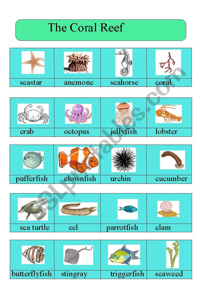 Pictionary: The Coral Reef worksheet