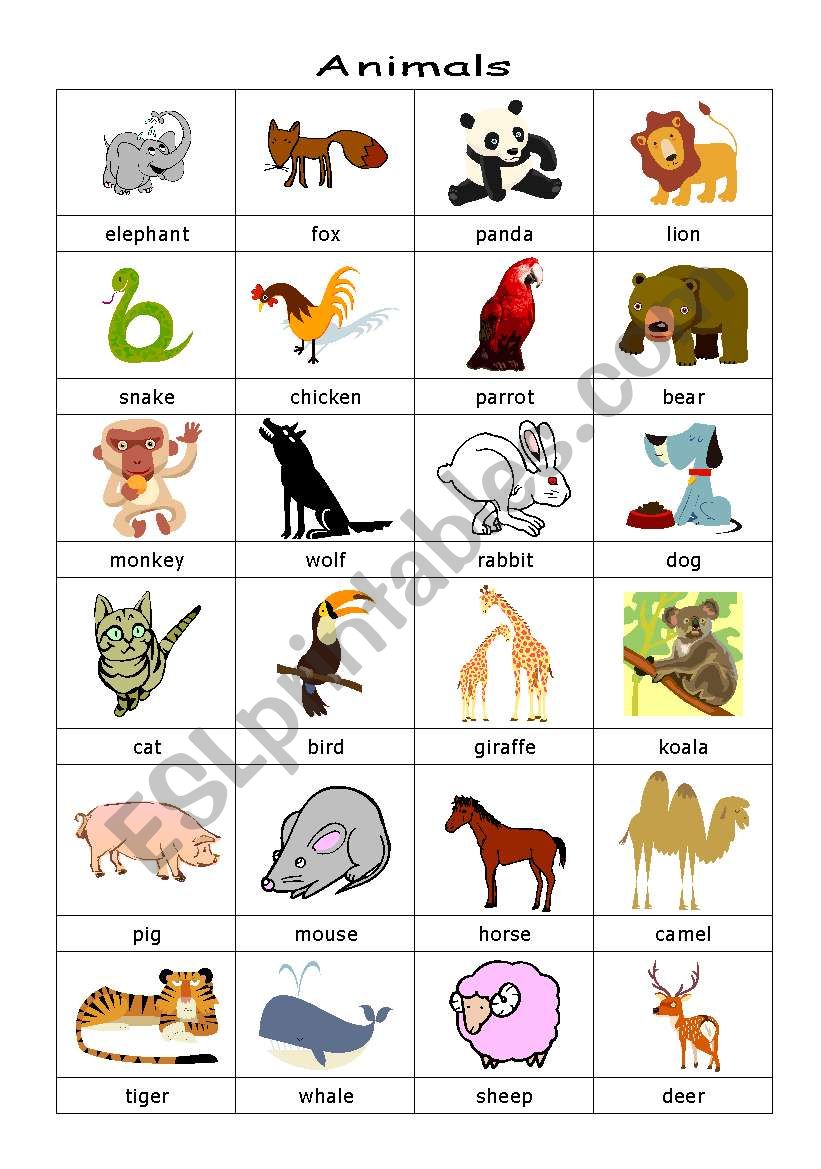 animals - ESL worksheet by natsumeg