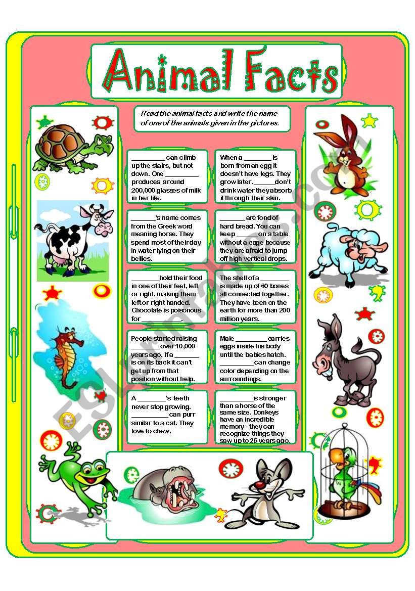 ANIMAL FACTS (2) - ESL worksheet by Yulia Mo