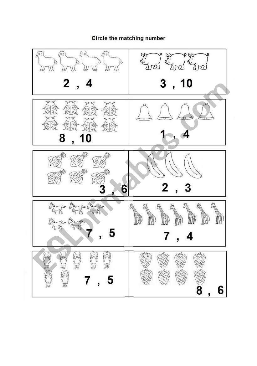 Circle the right number- Worksheet