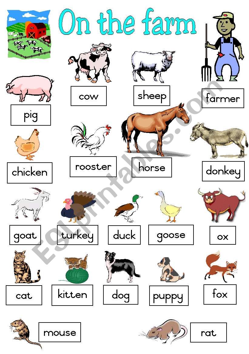 Farm Animals Poster ESL Worksheet By Joeyb1