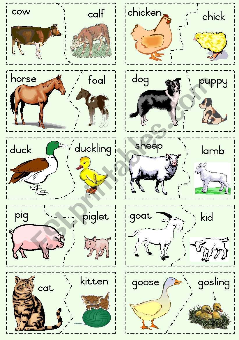 Farm Animals and their young - ESL worksheet by Joeyb1