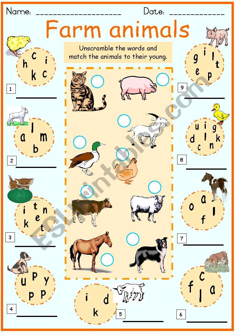 Farm animals and their young worksheet