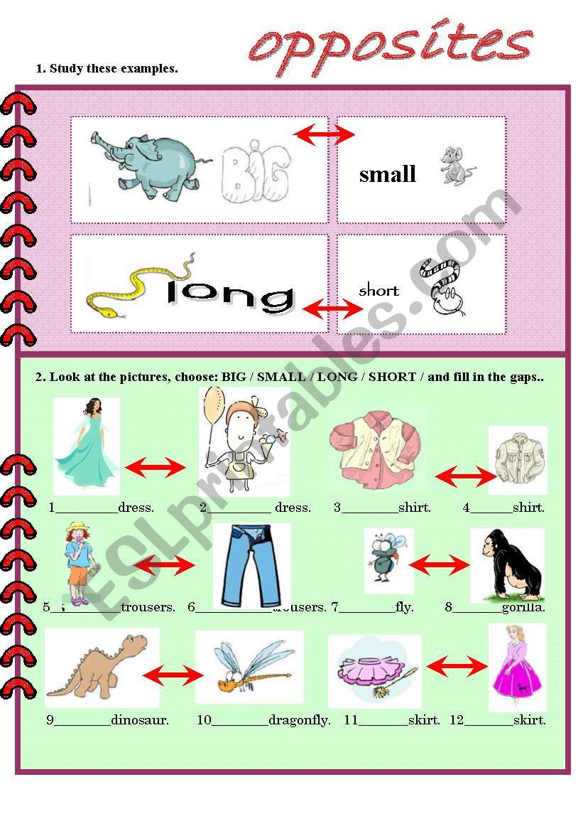 opposites for young learners. worksheet