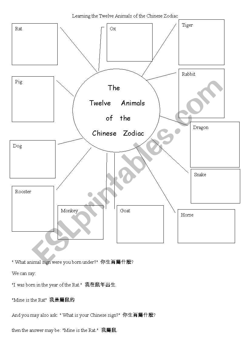 Learning Chinese Zodiec worksheet