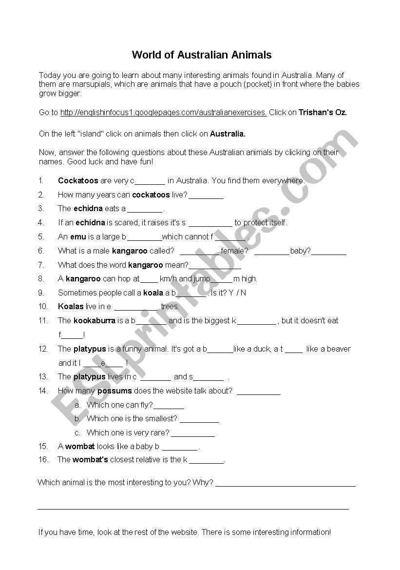 Australian Animals worksheet