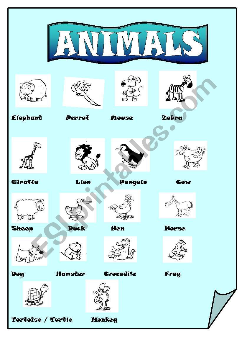 Animals worksheet