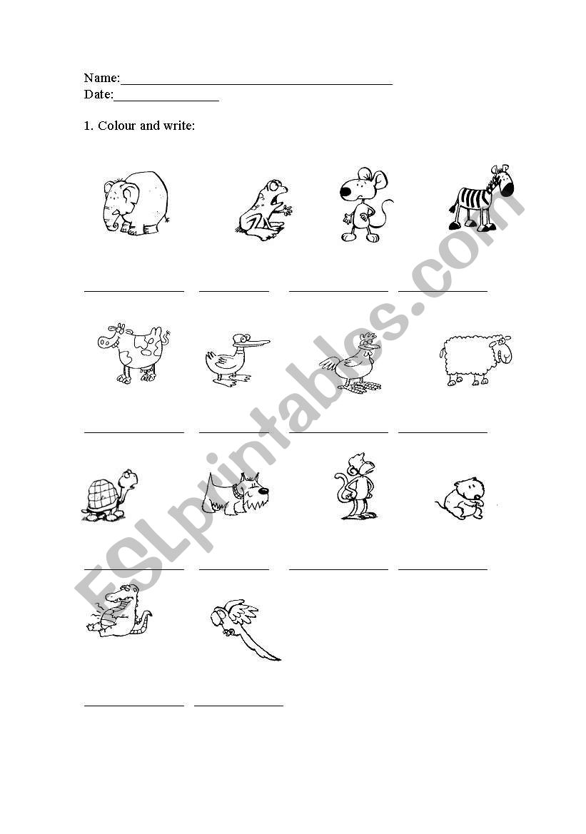 Animal ws worksheet