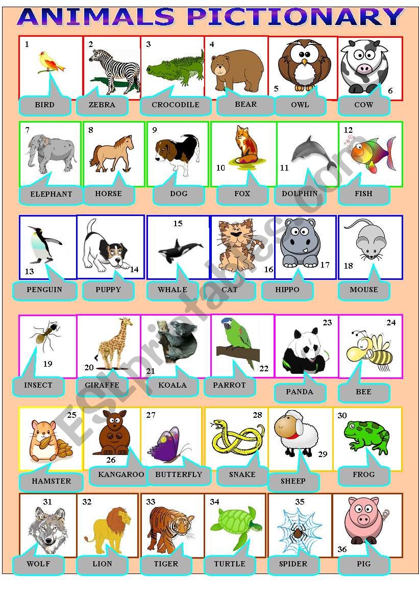 animals pictionary worksheet