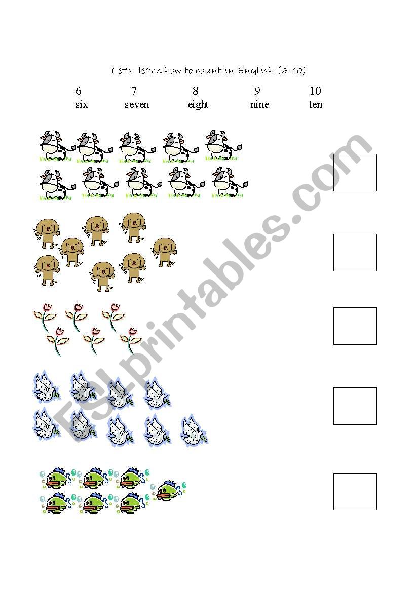 numbers worksheet