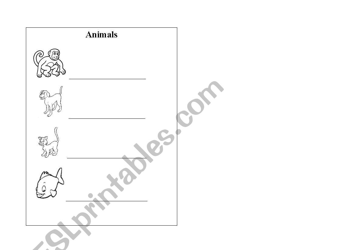 Animals worksheet