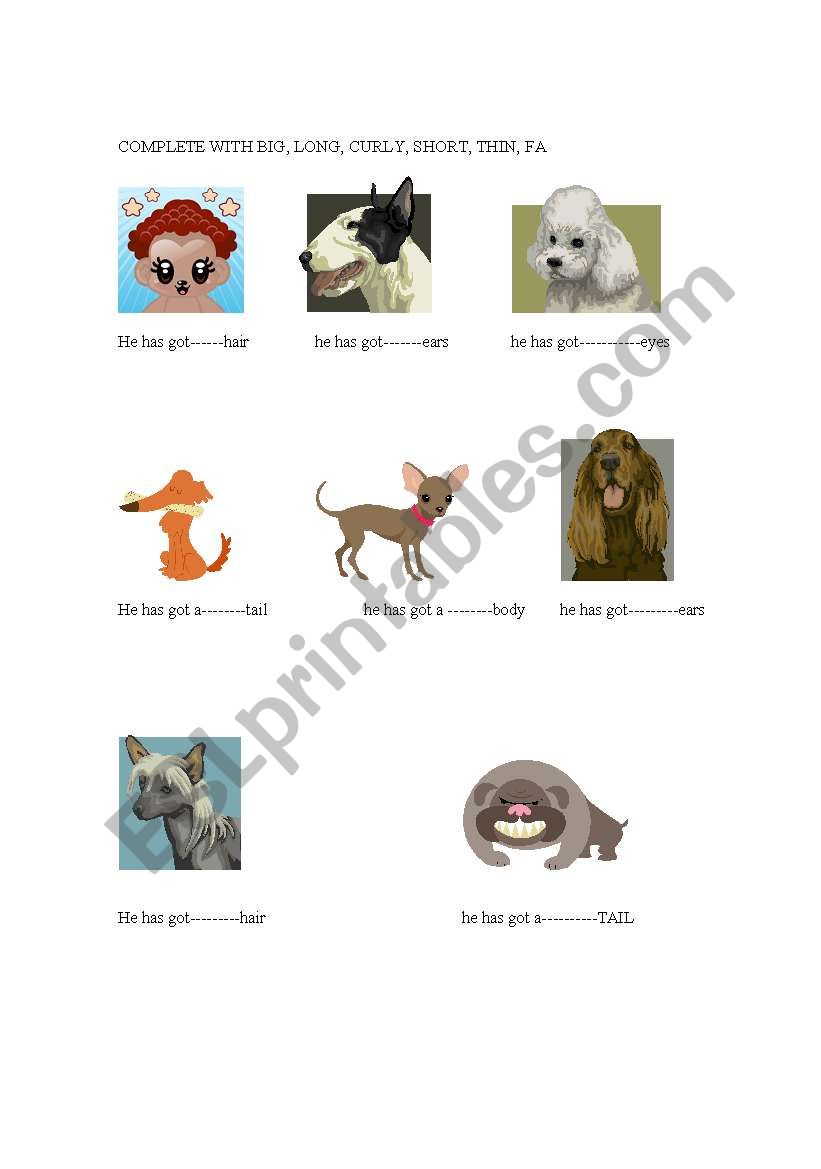 DOGS worksheet