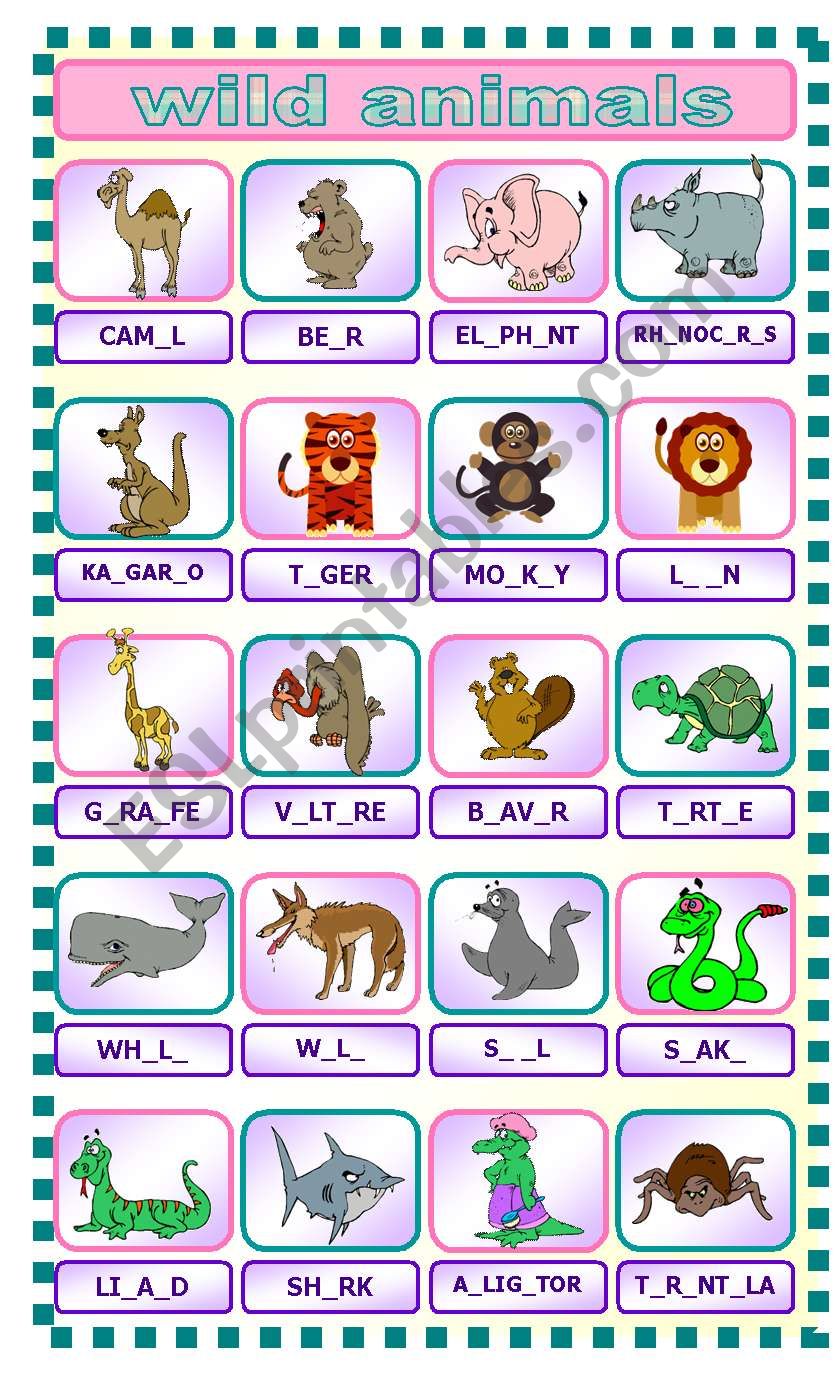 wild animals (07.03.10) worksheet