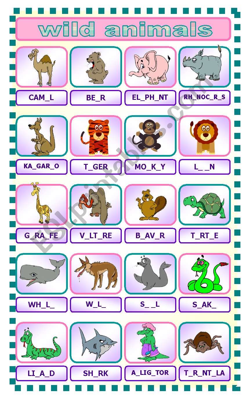 wild animals (07.03.10) worksheet