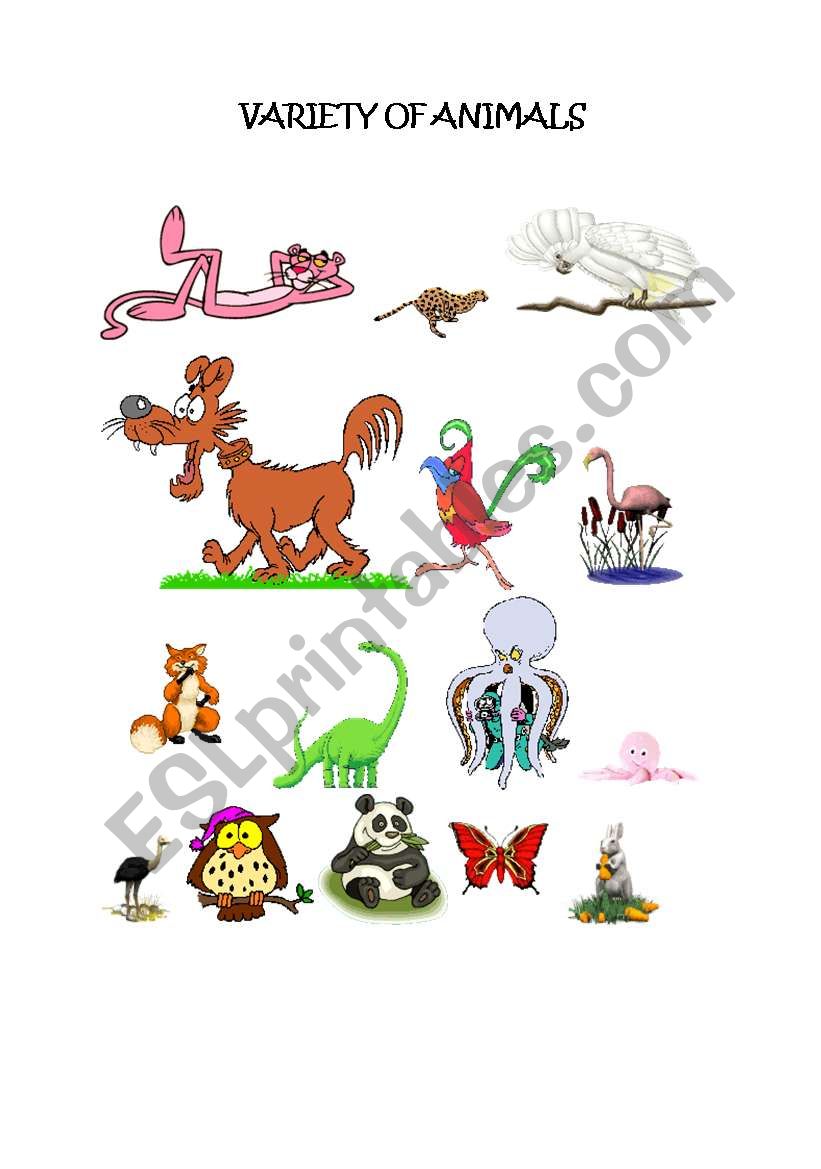 Variety of Animals worksheet