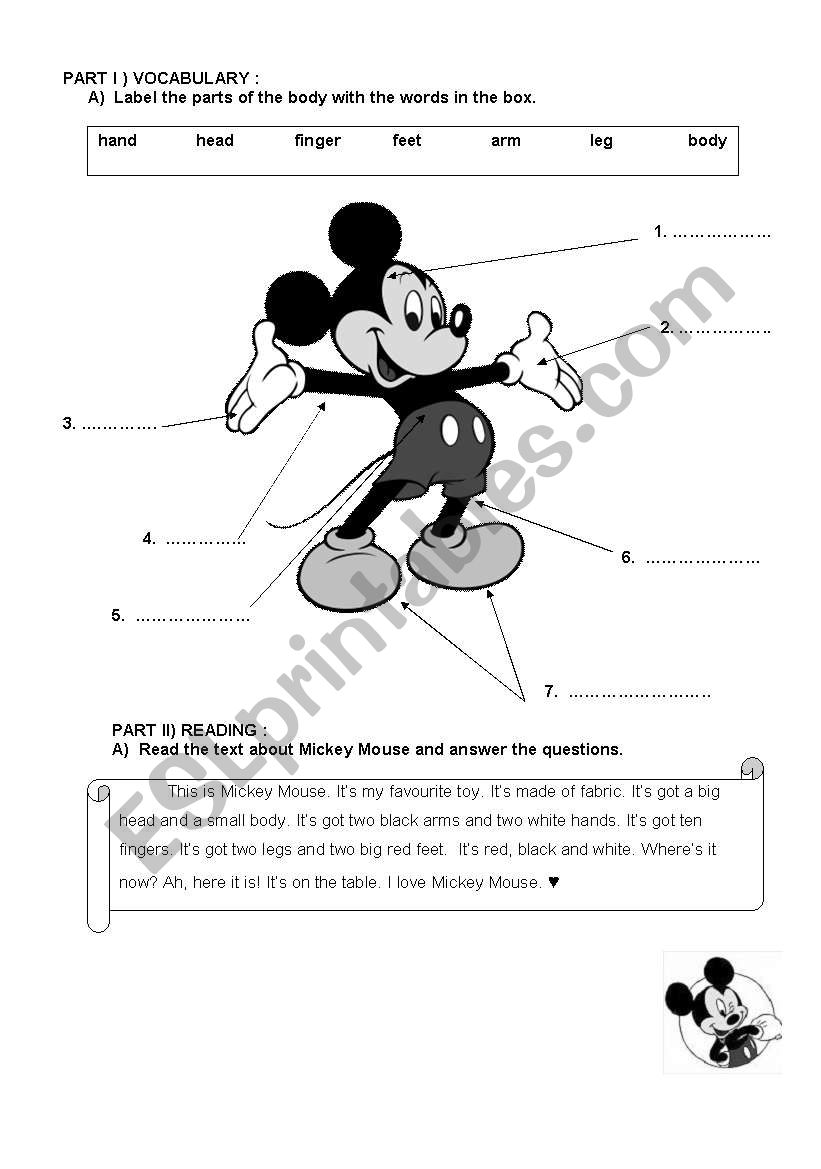 Parts of  the body worksheet