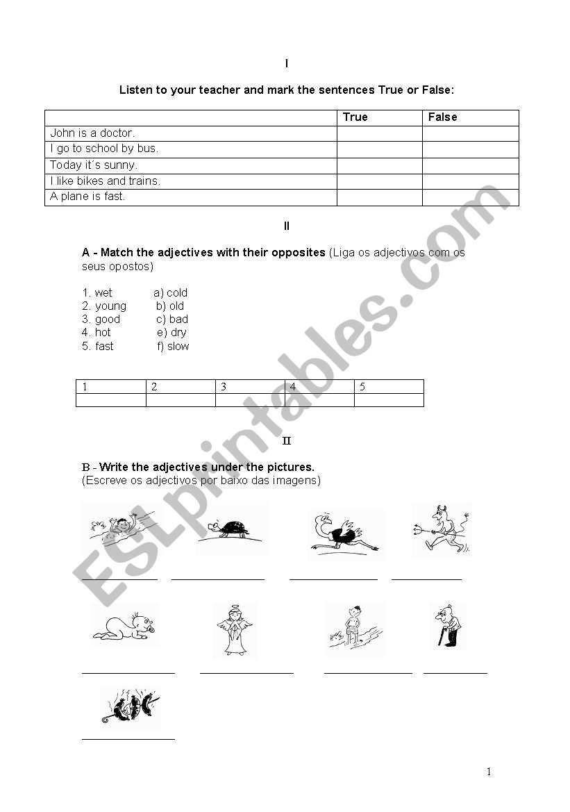 Transports and Opposite Adjectives