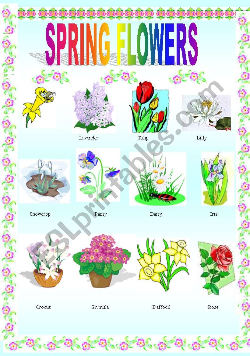 Spring flowers worksheet