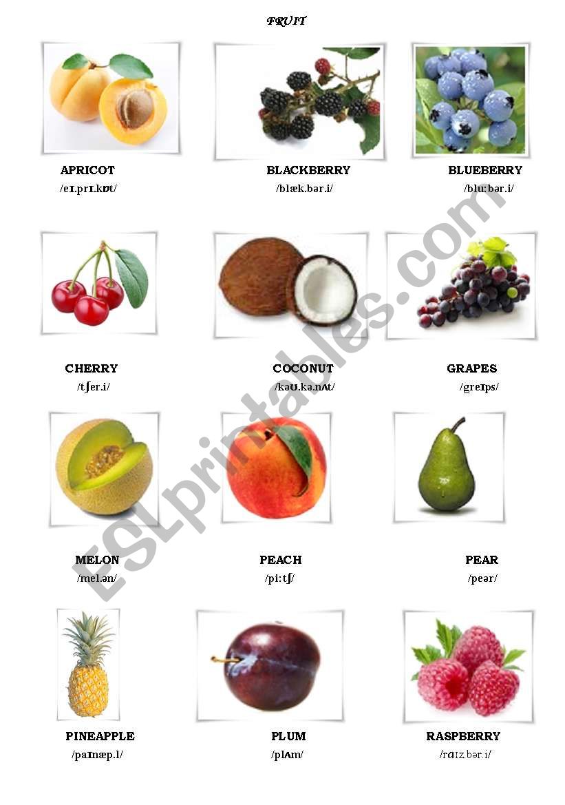 Fruit worksheet