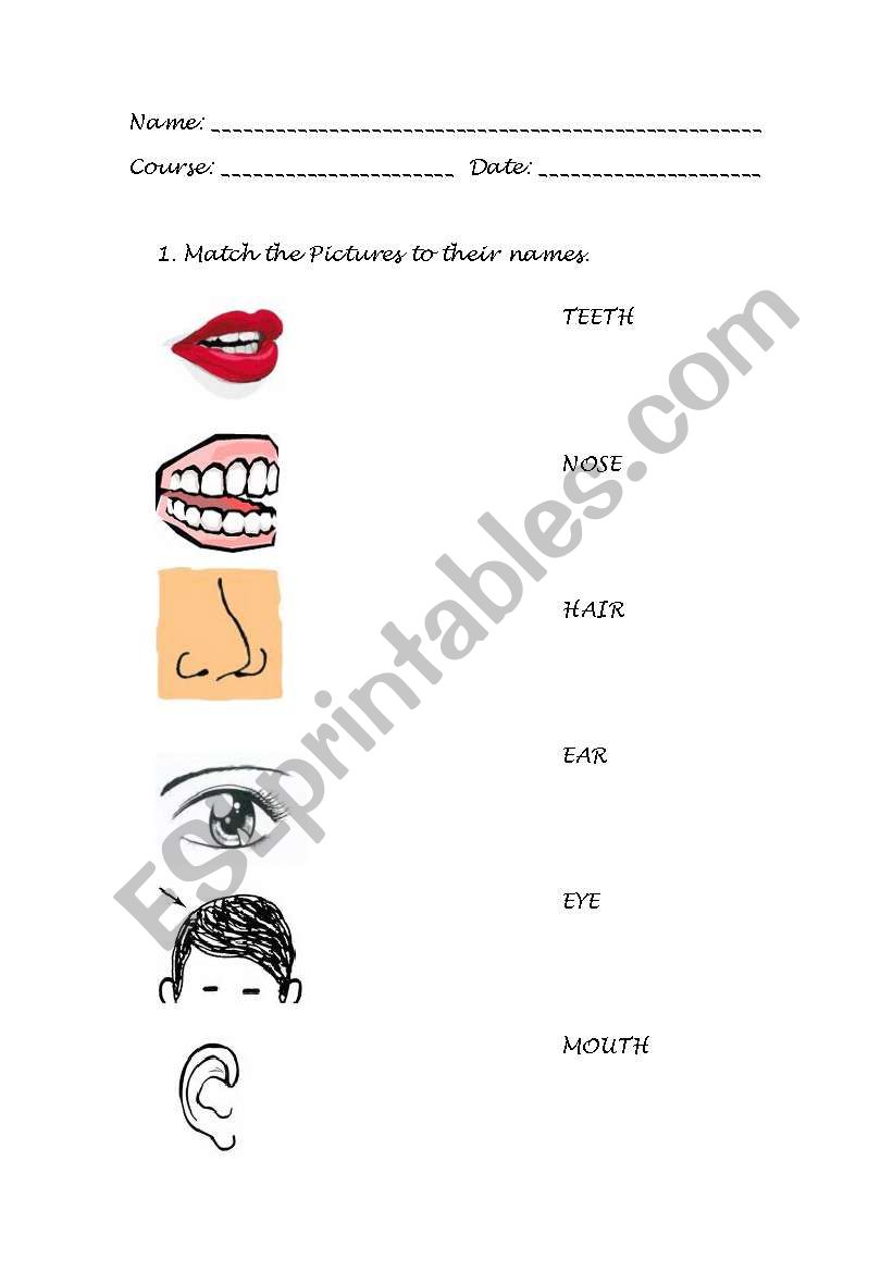 face worksheet