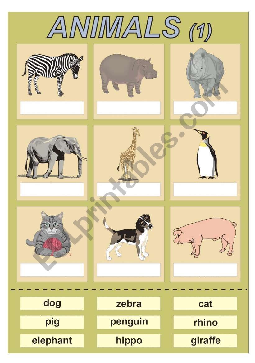 ANIMALS 1 - cut and paste exercise