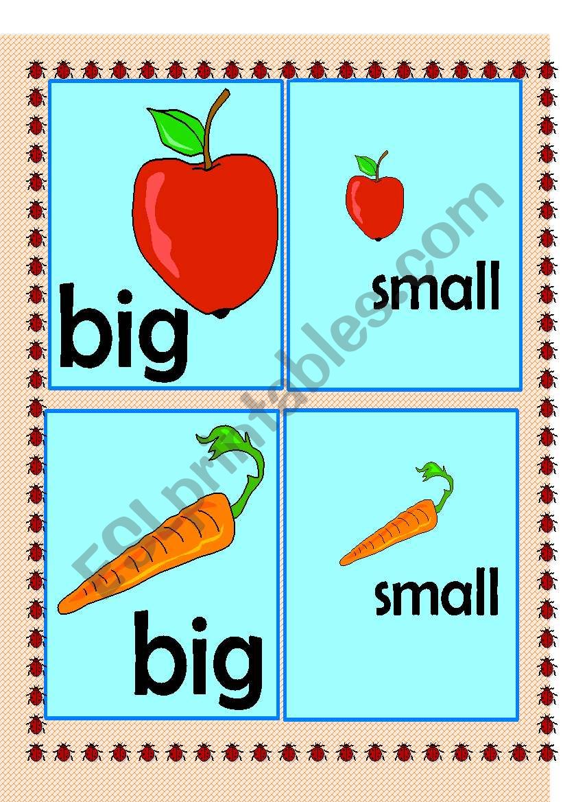 Big and small Flashcard worksheet