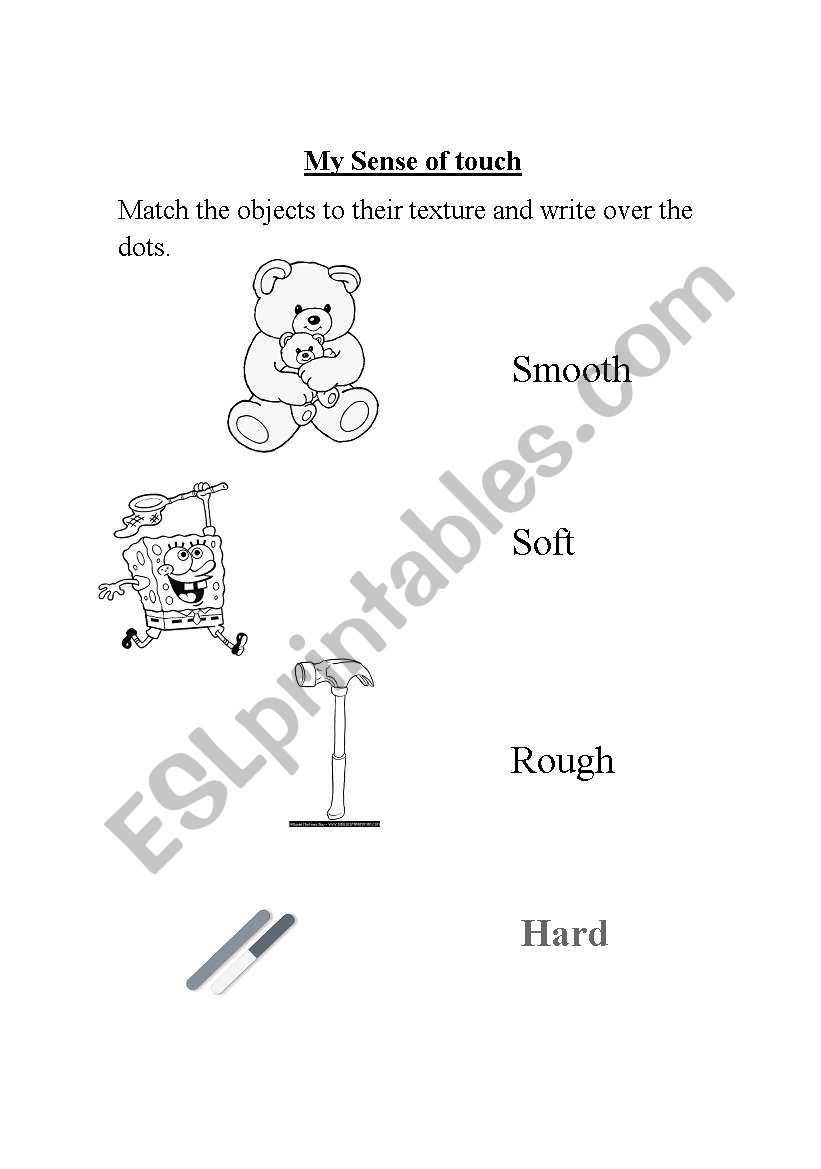 my sense of touch worksheet