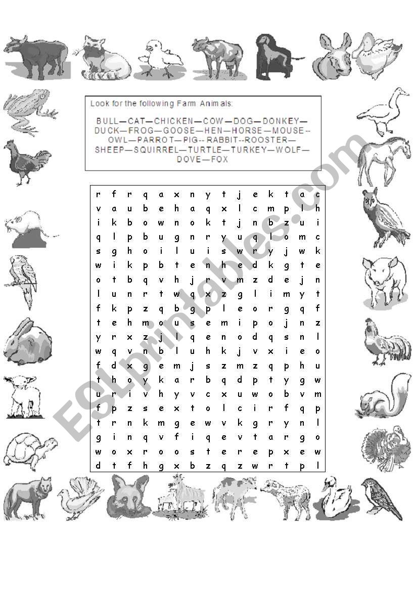 Farm Animals Soup Letter worksheet