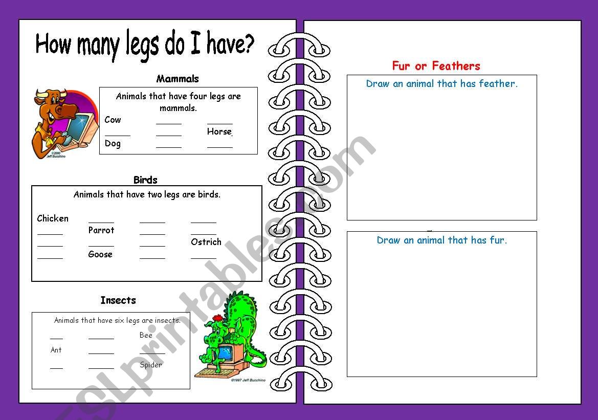 How many legs do I have? worksheet