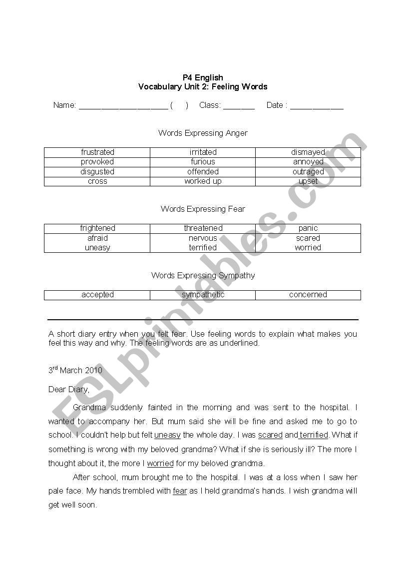 Feeling Words Diary Entry worksheet