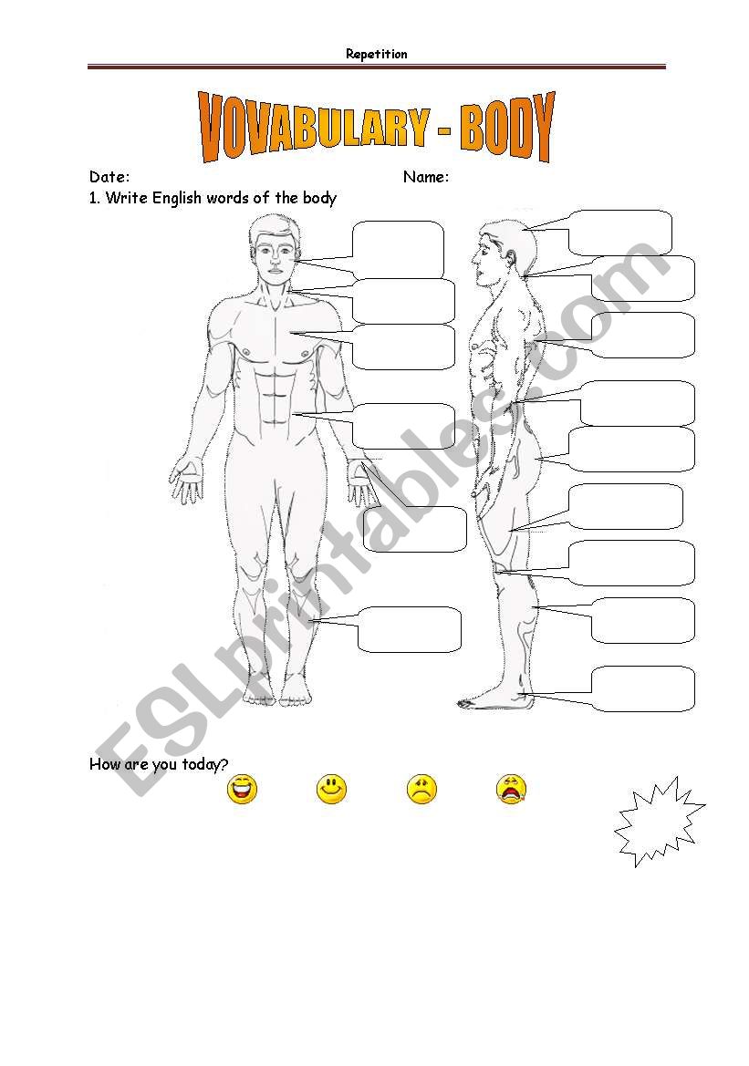 Vocabulary BODY - without help