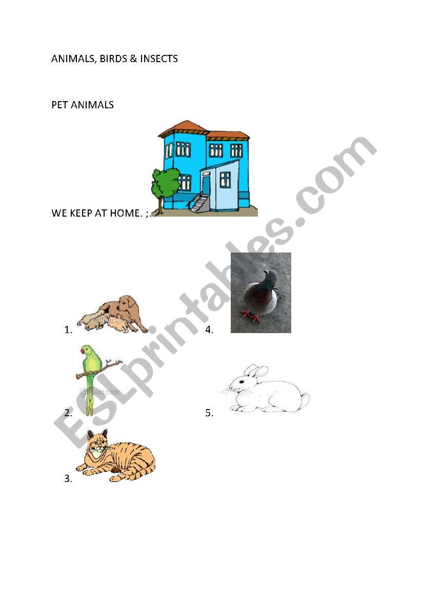 Animals worksheet