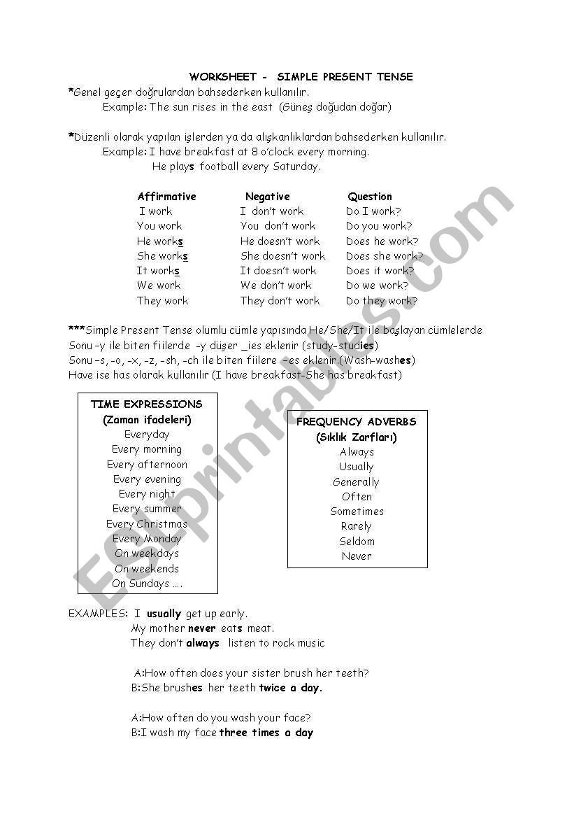 simple present tense worksheet