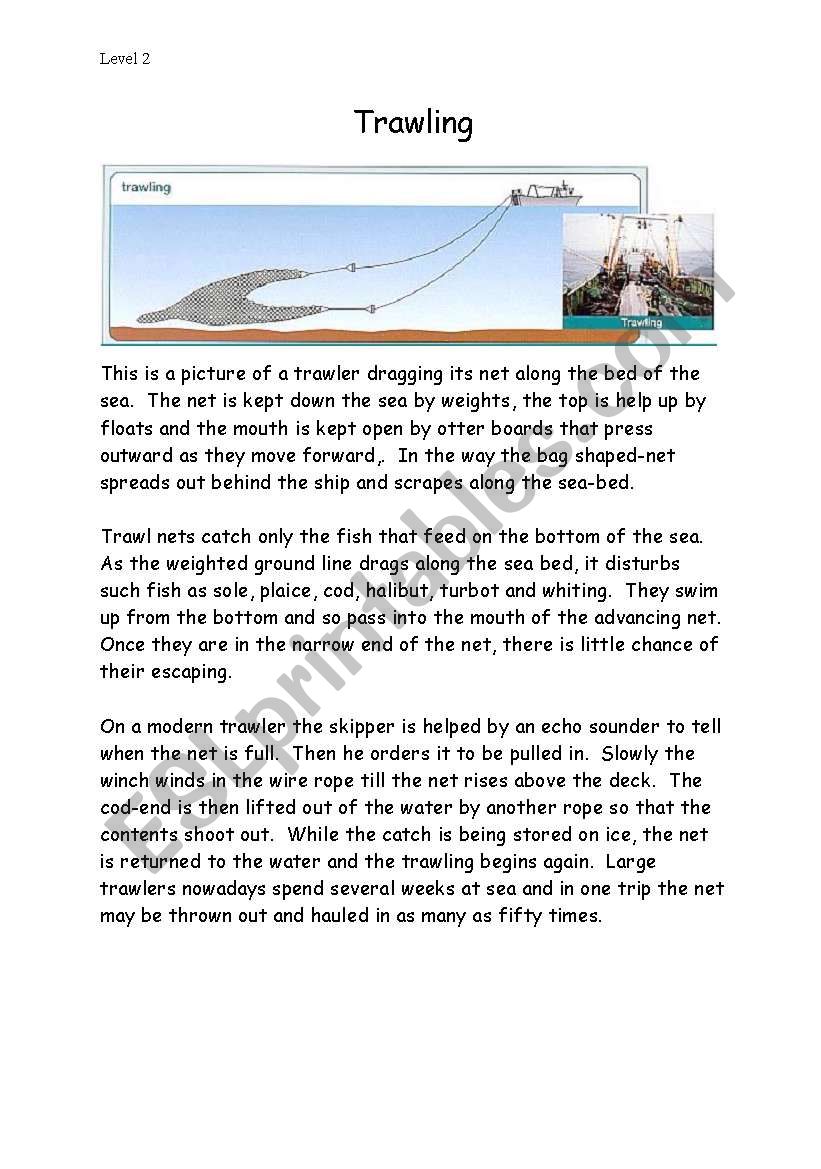 Trawling worksheet