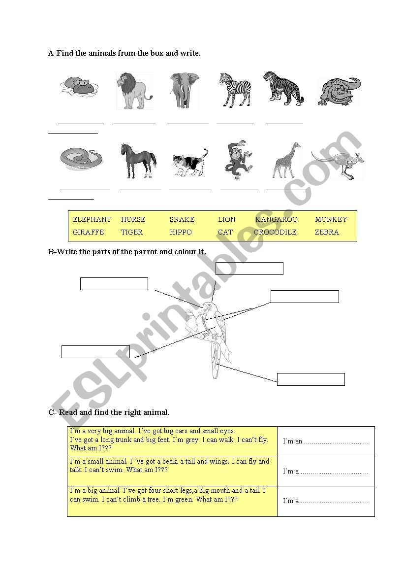 full animals worksheet worksheet