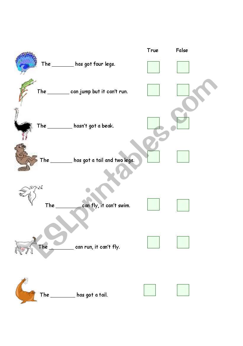 animals true false activity worksheet