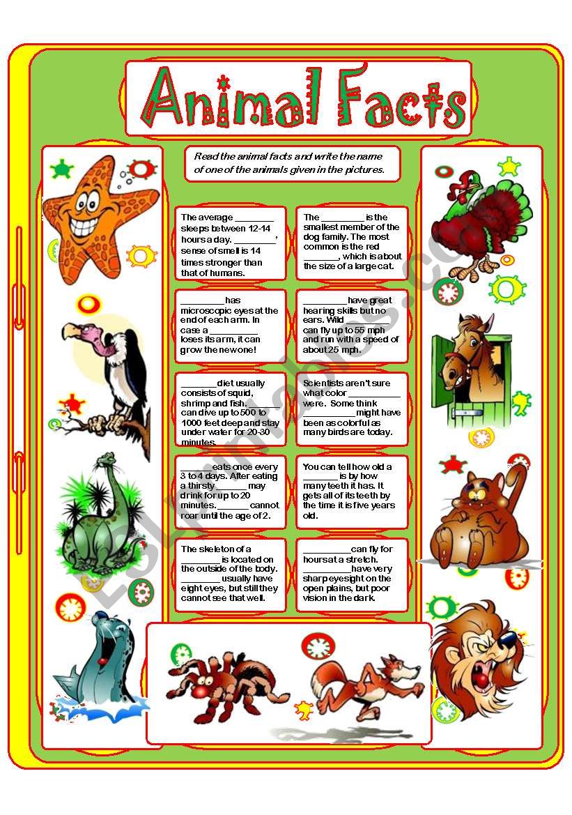 Top 125 Animal Facts For Elementary Students Lestwinsonline