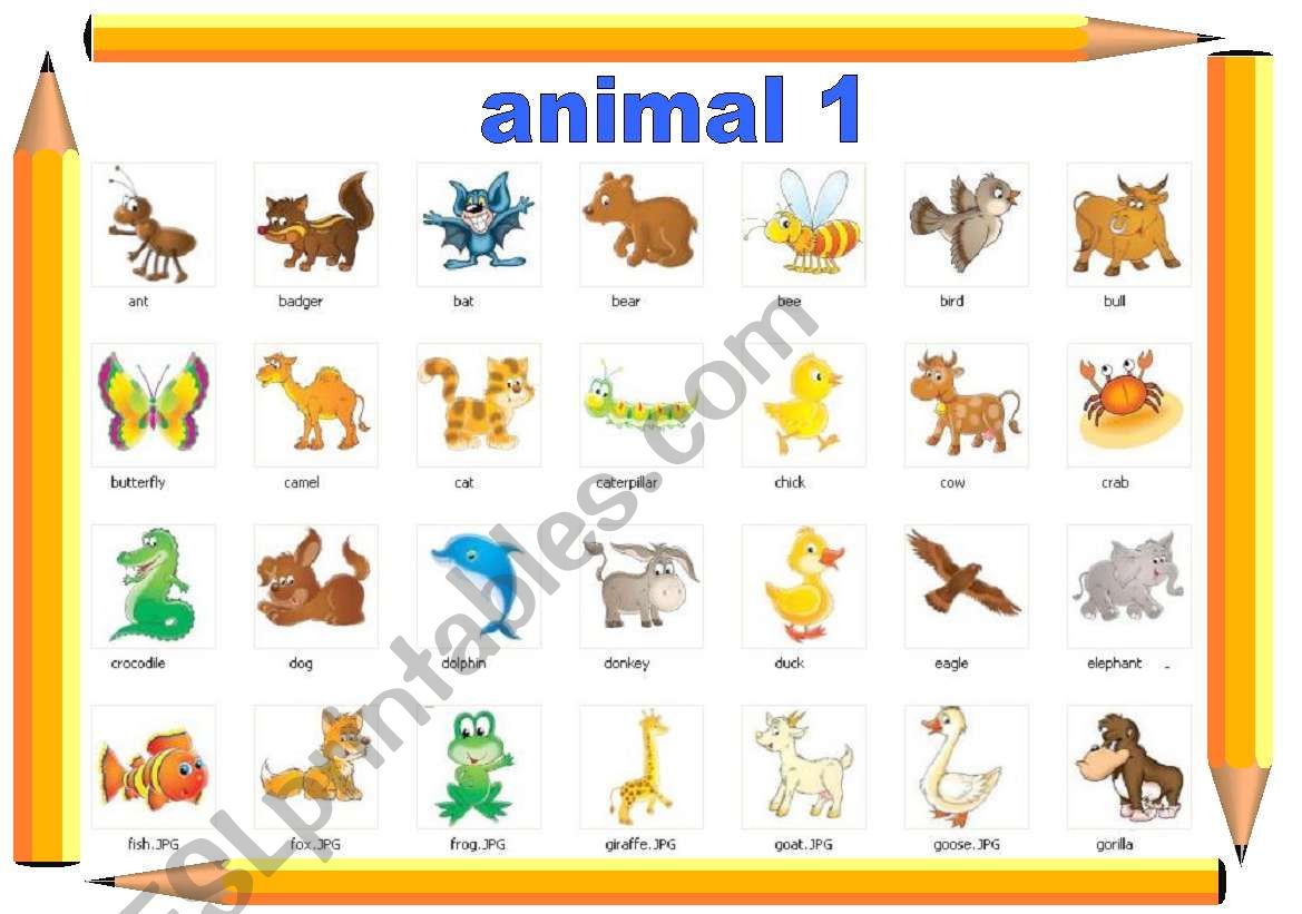 animal 1 worksheet