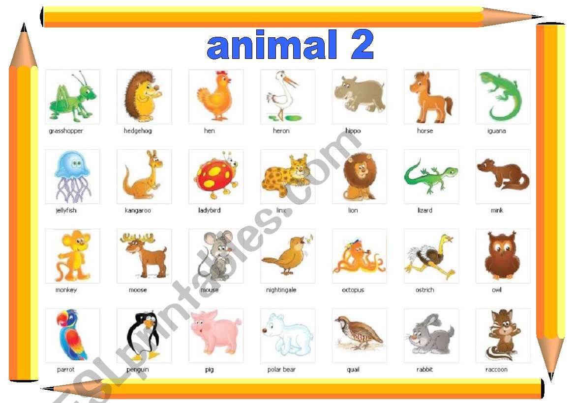 animal 2 worksheet