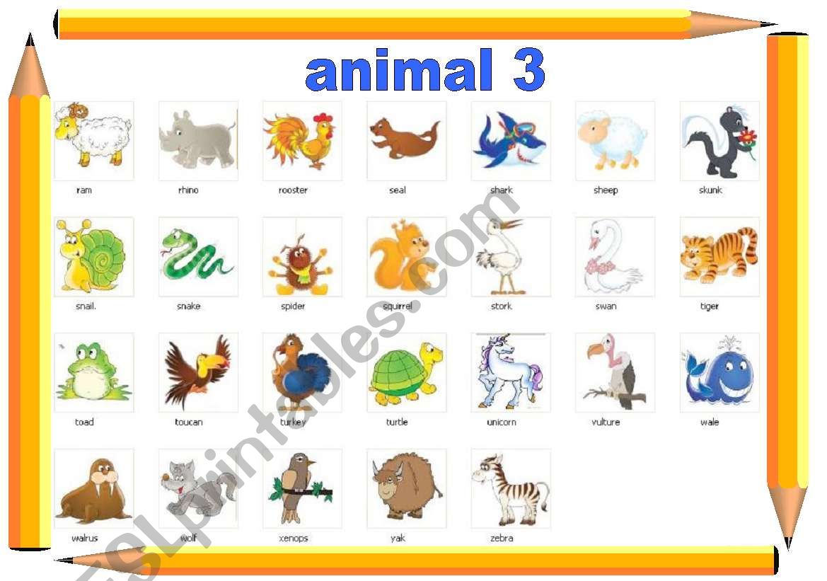 animal 3 worksheet