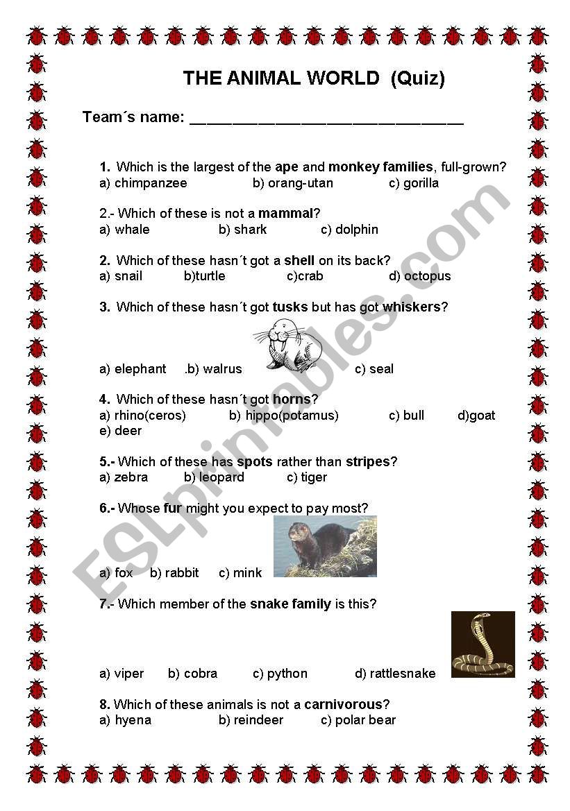 ANIMALS worksheet