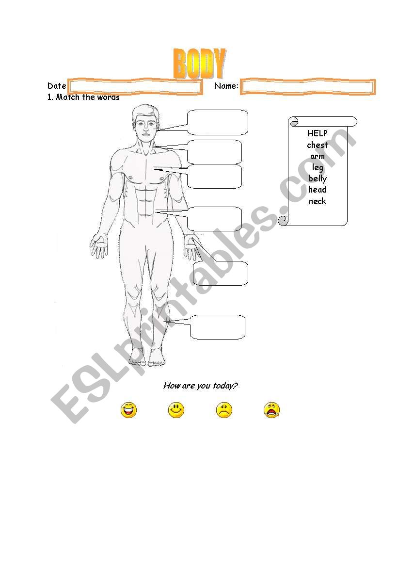 Vocabulary - Body -  with help