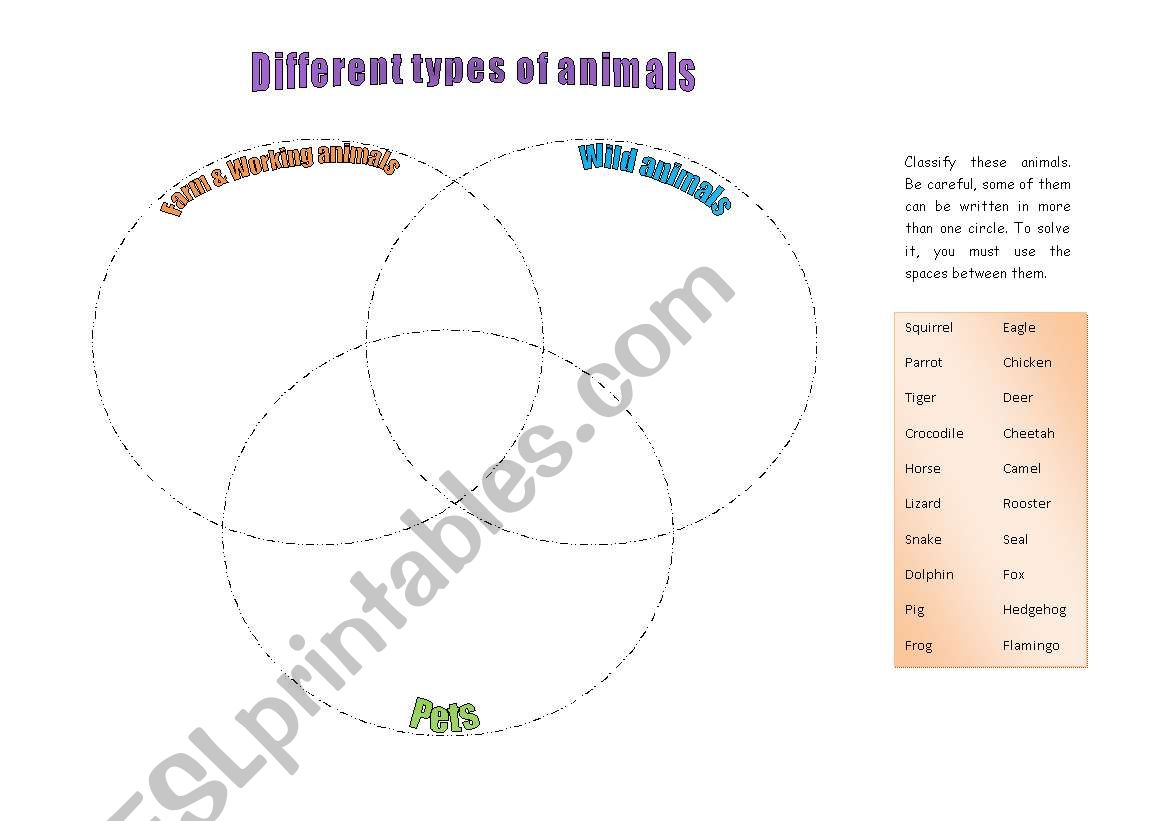 Types of animals worksheet