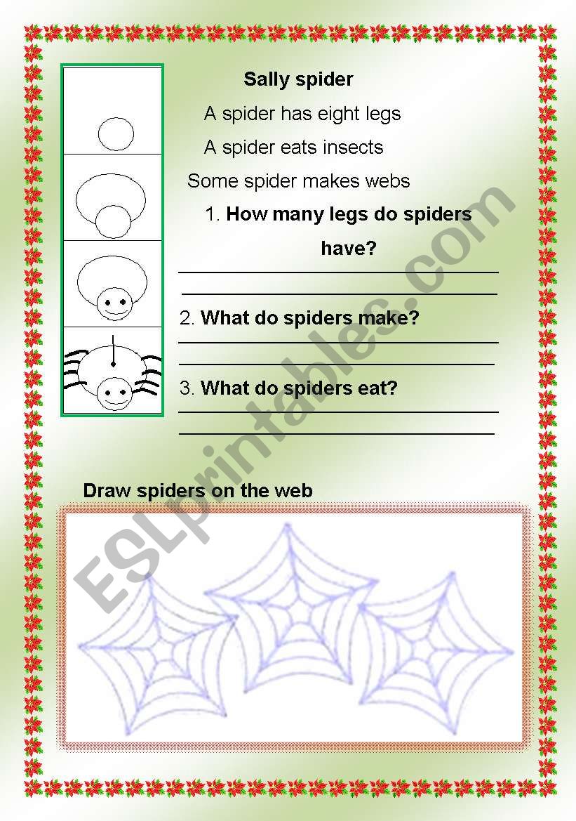 sally spider worksheet
