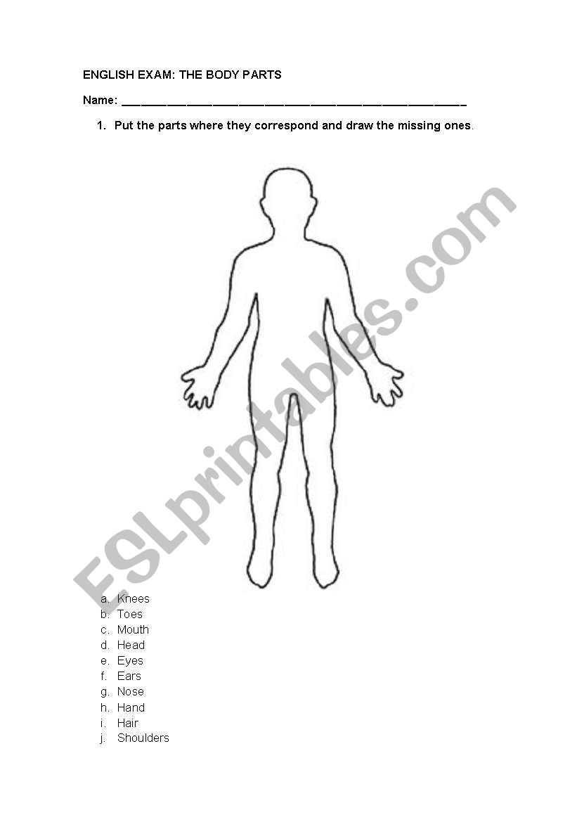 The Human Body worksheet